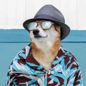 Meet your Posher, Janelle